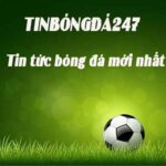 Profile picture of tinbonggda
