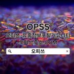 Profile picture of 강남오피 OPSSSITE.COM 강남오피 강남OP✫오피강남 강남 오피≀강남오피