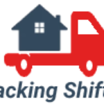 Profile picture of packingshifting