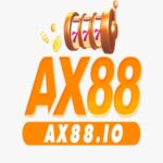 Profile picture of AX88