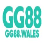 Profile picture of GG88