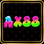 Profile picture of AX88