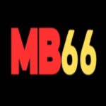 Profile picture of MB66