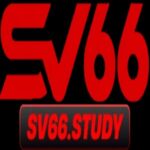 Profile picture of SV66