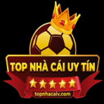 Profile picture of topnhacaivcom