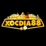 Profile picture of Xocdia88 | Cổng game xóc đĩa