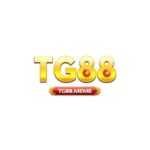 Profile picture of TG88