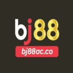 Profile picture of BJ88