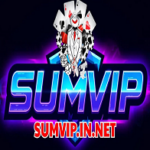 Profile picture of sumvipinnet