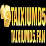 Profile picture of Tài xỉu md5