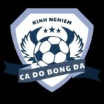 Profile picture of CÁ ĐỘ BÓNG ĐÁ
