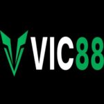 Profile picture of Vic88