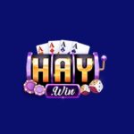 Profile picture of HAYWIN