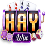 Profile picture of HAYWIN