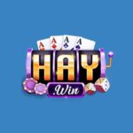 Profile picture of HAYWIN