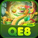 Profile picture of QE8 - Slots Brasileiros com Premiações Reais