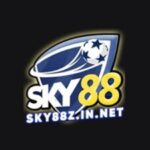 Profile picture of sky88