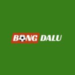 Profile picture of BONGDALU