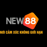 Profile picture of new88org