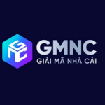 Profile picture of gmncstore