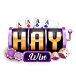 Profile picture of haywincocom