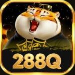 Profile picture of 288Q