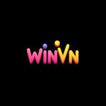 Profile picture of WINVN
