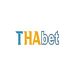 Profile picture of THABET