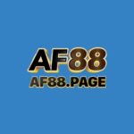 Profile picture of AF88