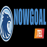 Profile picture of nowgoaltel