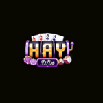 Profile picture of Haywin Cổng Game Đổi Thưởng Uy Tín, Chơi Là Thắng Lớn 2026