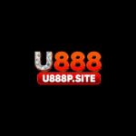 Profile picture of U888