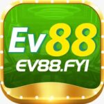 Profile picture of EV88