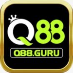 Profile picture of Q88