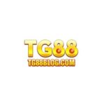 Profile picture of TG88