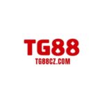 Profile picture of TG88