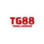 Profile picture of TG88