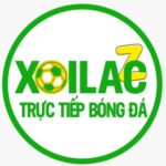 Profile picture of XOILAC