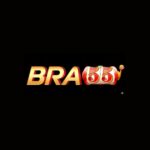Profile picture of BRA55