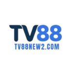 Profile picture of TV88