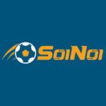 Profile picture of SoiNoi