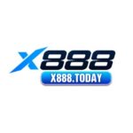 Profile picture of X88