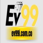 Profile picture of EV99