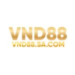 Profile picture of VND88