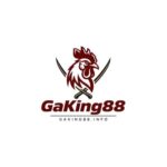 Profile picture of GaKing88
