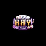 Profile picture of HAYWIN