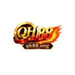 Profile picture of QH88