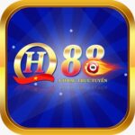 Profile picture of QH88