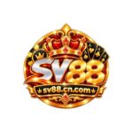 Profile picture of SV88