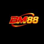 Profile picture of BM88